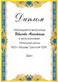 Диплом выпускника начальной школы. Именной 9-19-108.  Арт. 7205 7205 - фото 12107