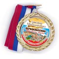 Медаль Premium 70 мм "Посвящение в первоклассники". Металл Арт. 4806 - фото 8999